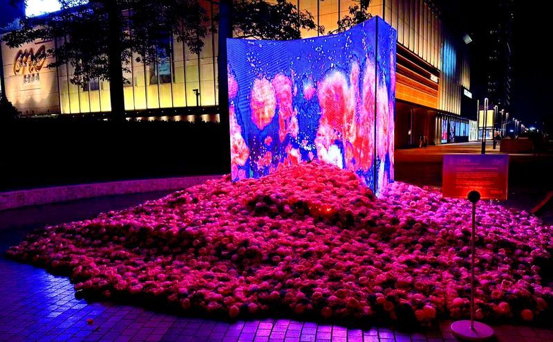 澳门光影艺术装置