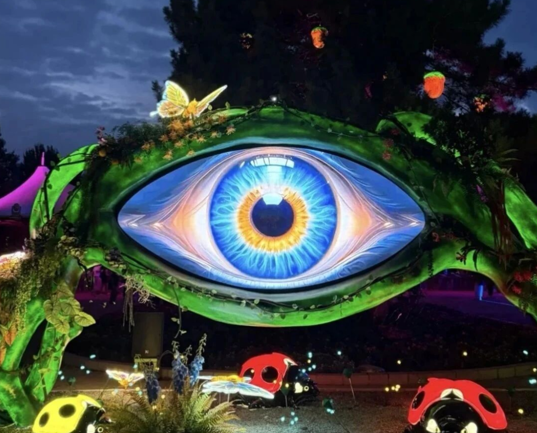 辽宁沈阳-沈阳植物园“沐光森林”