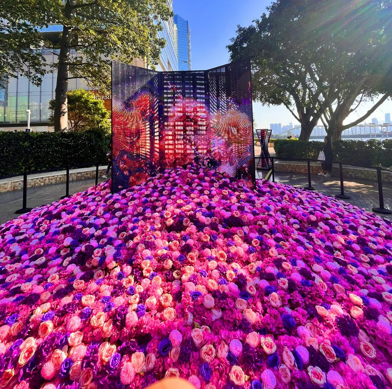 e5933be6f44717d276428702a72ccbd